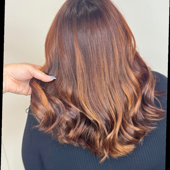 Baillot, cashemere cuivrée, Franck Provost